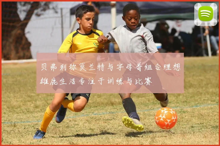 贝弗利称莫兰特与字母哥组合理想雄鹿生活专注于训练与比赛