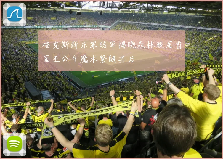 福克斯新东家赔率揭晓森林狼居首国王公牛魔术紧随其后