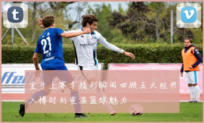 金牛上赛季精彩瞬间回顾五大经典入樽时刻重温篮球魅力